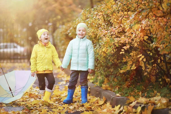 Gyerekek Sétálnak Őszi Parkban Falon — Stock Fotó