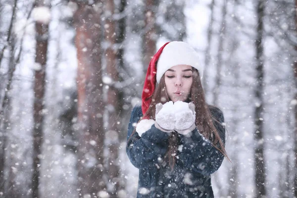 下午在雪地里的一个冬季公园里的女孩 — 图库照片