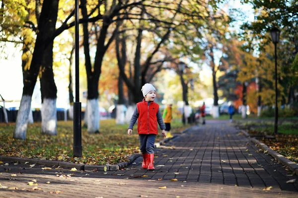 Crianças Caminham Parque Outono Fal — Fotografia de Stock