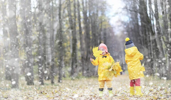 Los Niños Pequeños Caminan Parque Otoño Primera Helada Primera Nieve — Foto de Stock