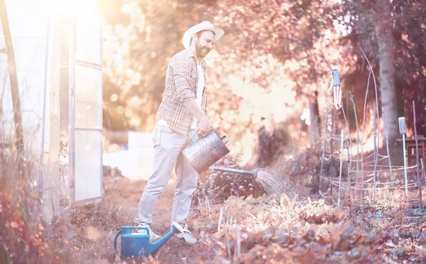 Man Farmer Watering Vegetable Garden Evening Sunse — Stock Photo, Image