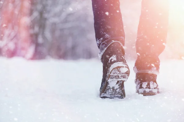 有孩子的年轻家庭在冬季公园散步 父母带孩子的冬天散步 在冬季的假日周末散步 — 图库照片