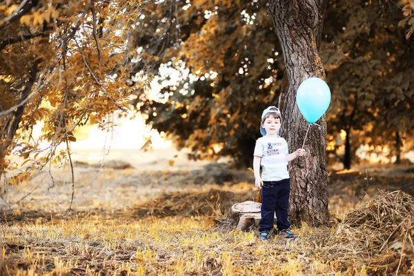 Bambini Piccoli Camminano Nel Parco Autunnale — Foto Stock