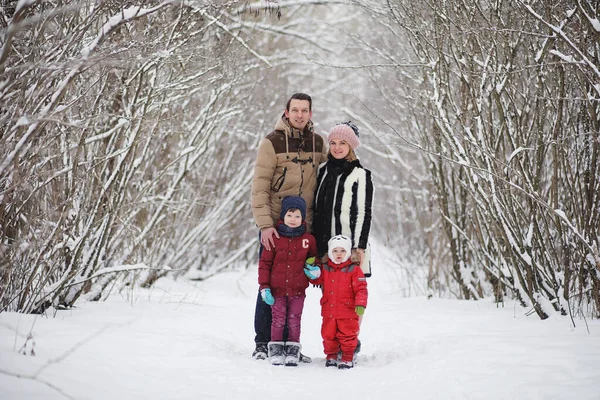 Молодая семья с детьми гуляет в зимнем парке. Винте — стоковое фото