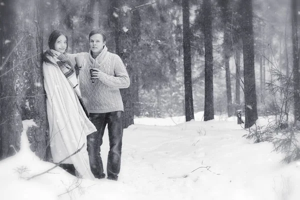 Sevgi Dolu Bir Çift Bir Kış Yürüyüş Kışın Parkta Bir — Stok fotoğraf