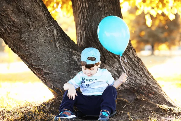 Küçük Çocuk Sonbahar Park Yürüyordunuz — Stok fotoğraf