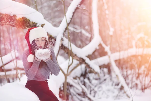 Молодая Девушка Зимнем Парке Прогулке Рождественские Каникулы Зимнем Лесу Девушка — стоковое фото