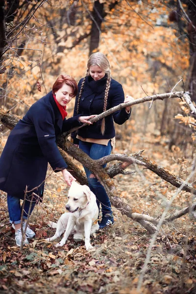 Ung Flicka Med Mamma Och Hund Promenad Höstträdgården — Stockfoto