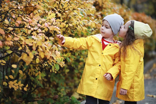 Les Enfants Marchent Dans Parc Automne Dans Fal — Photo