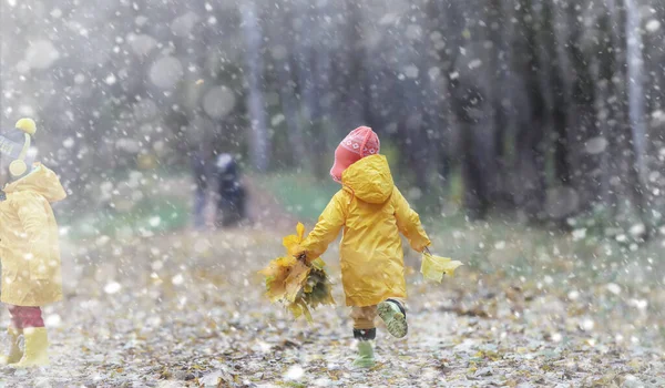 Les Tout Petits Marchent Dans Parc Automne Première Gelée Première — Photo