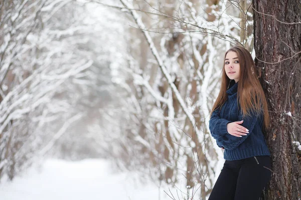 一个小女孩在冬天的公园里散步 寒冬森林里的圣诞假期 女孩在公园里过冬 — 图库照片