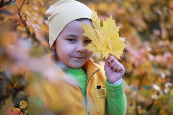 秋の紅葉公園を歩く子供たち ストックフォト