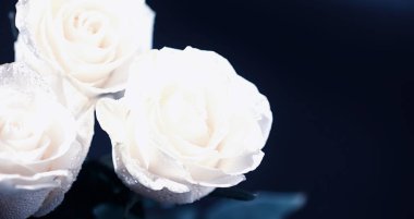 Bir buket taze çiçek. Sevdiğine bayram hediyesi. Sevgililer Günü arkaplanı. Gül, lale, Iris çiçek aranjmanı.