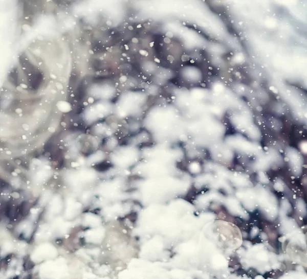 Paesaggio Forestale Invernale Alberi Alti Sotto Manto Neve Gennaio Giornata — Foto Stock