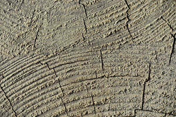 Wood Texture Background Contrasting Texture Boards Wooden Structure Macro Shot — Stock Photo, Image