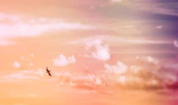 雲のパステルカラーの空の風景 — ストック写真