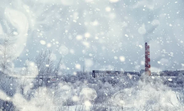 Winterliche Waldlandschaft Hohe Bäume Unter Einer Schneedecke Frosttag Januar Park — Stockfoto