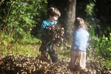 Yaprak parkta düşer. Sonbahar parkında yürüyüşe çıkmış çocuklar. - Aile. Düş! Mutluluk.