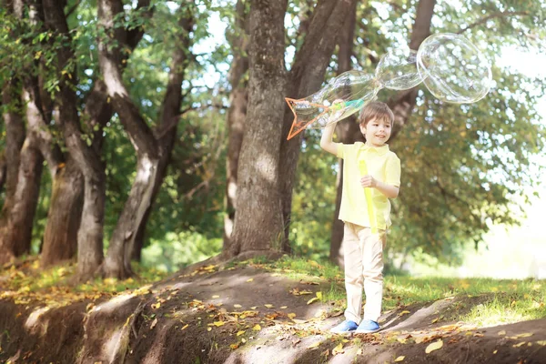 Niño Caminando Parque Otoño Día Soleado —  Fotos de Stock