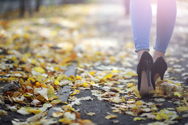 Молодая красивая девушка для прогулки в летнем парке. Листья падают в городском парке. Начало осени. Сентябрь.