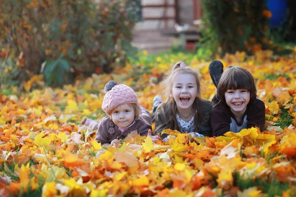 Genç Bir Aile Güneşli Bir Günde Sonbahar Parkında Yürüyüş Yapıyor — Stok fotoğraf