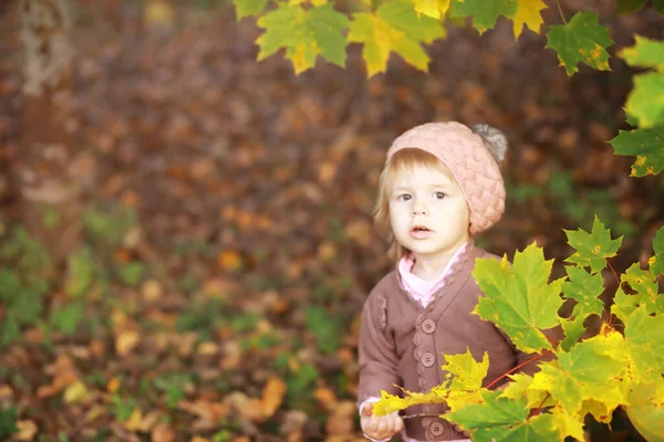 Ung Familj Promenad Höstparken Solig Dag Lycka Att Vara Tillsammans — Stockfoto