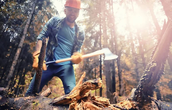 Trabajador Masculino Con Hacha Cortando Árbol Bosque — Foto de Stock