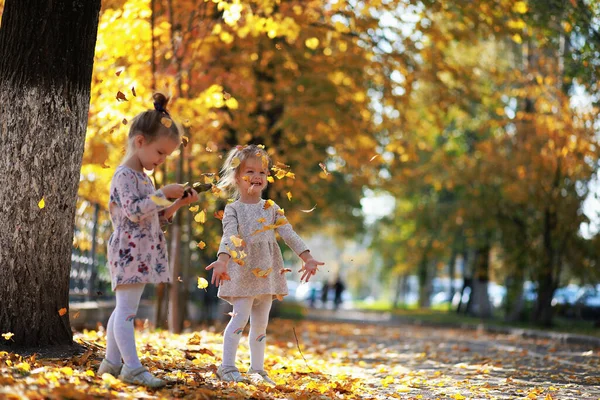 Лист Падає Парку Діти Прогулянку Осінньому Парку Сім Падіння Щастя — стокове фото