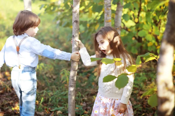 Genç Bir Aile Güneşli Bir Günde Sonbahar Parkında Yürüyüş Yapıyor — Stok fotoğraf