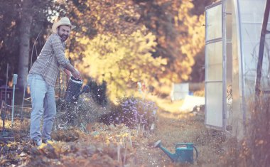 Erkek çiftçi akşamları sebze bahçesini suluyor.