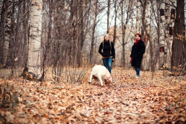 Sonbaharda yürüyüşe çıkan genç kız.