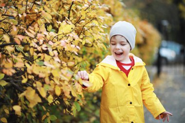 Çocuklar sonbahar parkında sonbaharda yürürler
