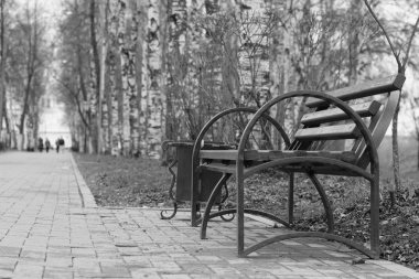 parkta güneş ışınları tezgah