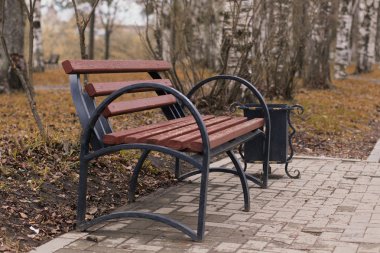 parkta güneş ışınları tezgah