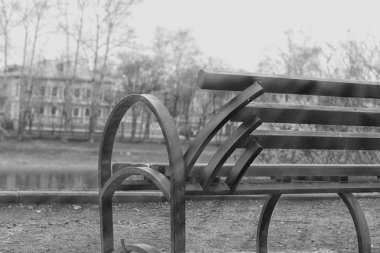 parkta güneş ışınları tezgah