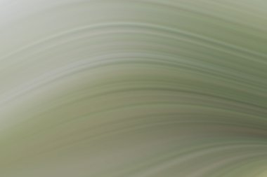 arka plan bulanık satır bükme