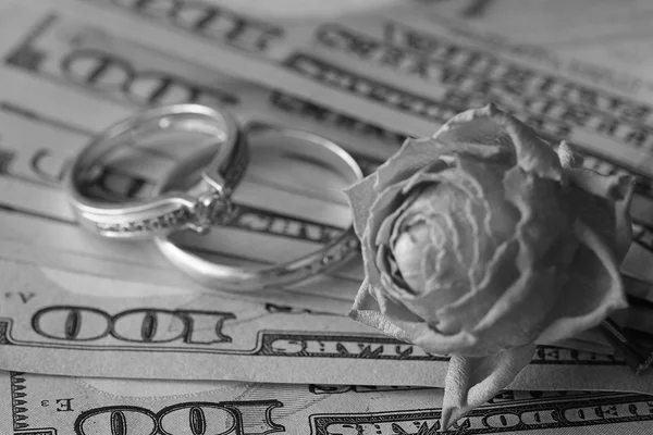 Dólar americano rosa presente do casamento dinheiro do presente — Fotografia de Stock