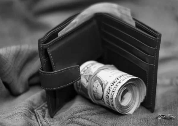 Purse bundle of dollars — Stock Photo, Image