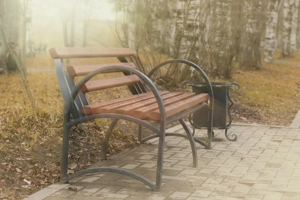 Banco no parque os raios do sol — Fotografia de Stock