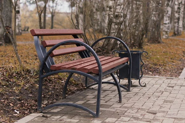 Banc dans le parc les rayons du soleil — Photo