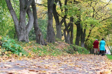 Park sokak ağaçların yaprakları