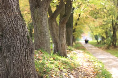 Bir bebek arabası park sokak kadınla