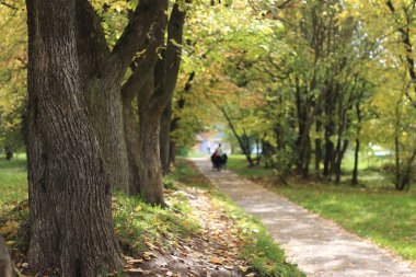 Bir bebek arabası park sokak kadınla