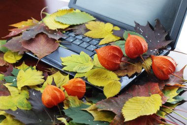 Sonbahar masaüstü öğrenci