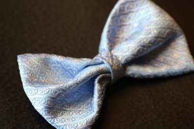 Kostüm ve aksesuarları için kelebek