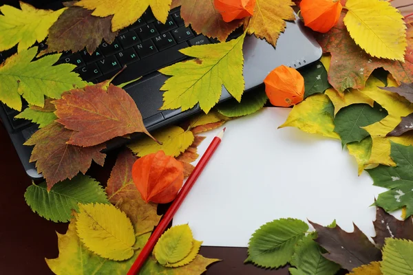 Осенний десктоп — стоковое фото