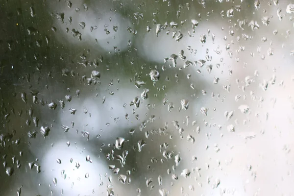 Rain drops on the glass — Stock Photo, Image