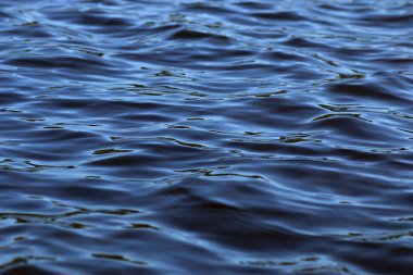 doku göl dalgaların