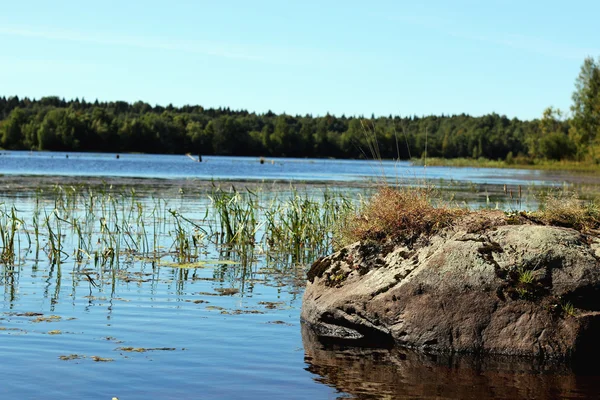 Ландшафтный камень на озере — стоковое фото