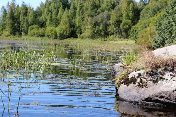 A tó partján fekvő kő — Stock Fotó